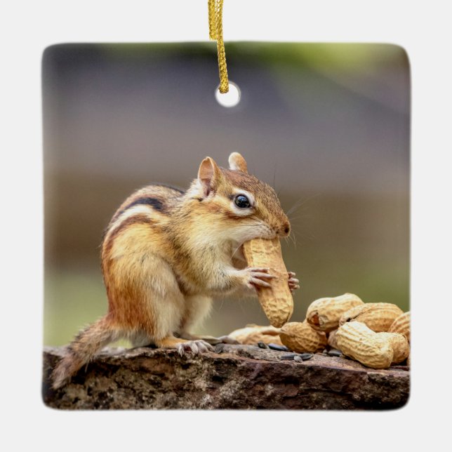 Chipmunk eating a peanut ceramic tree decoration (Front)