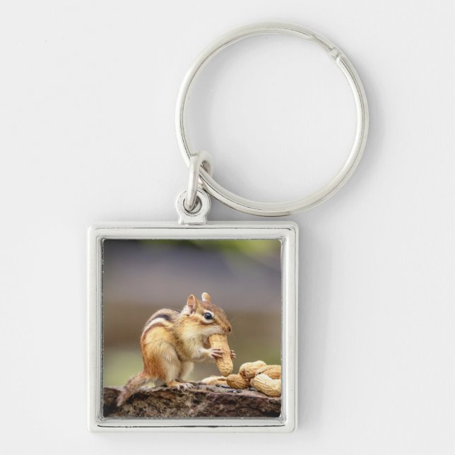 Chipmunk eating a peanut key ring (Front)