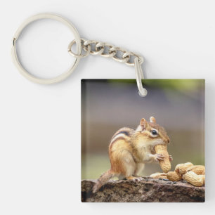 Chipmunk eating a peanut key ring