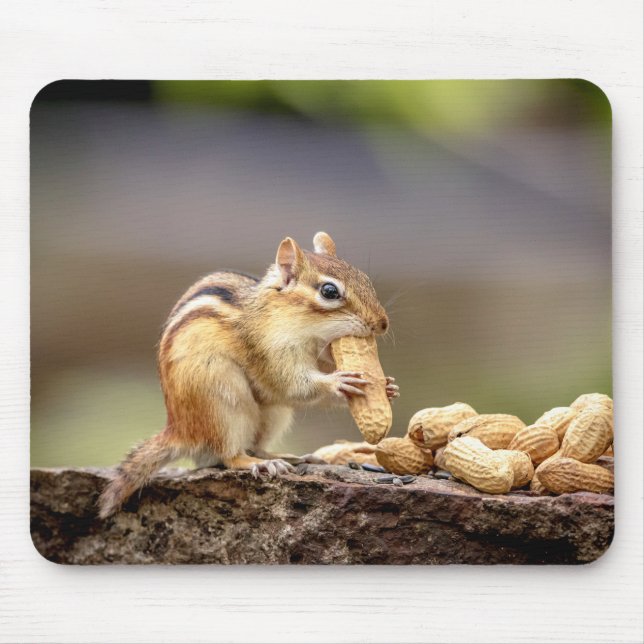Chipmunk eating a peanut mouse mat (Front)