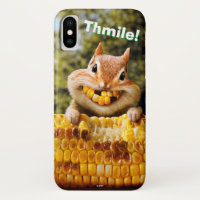 Chipmunk Eating Corn