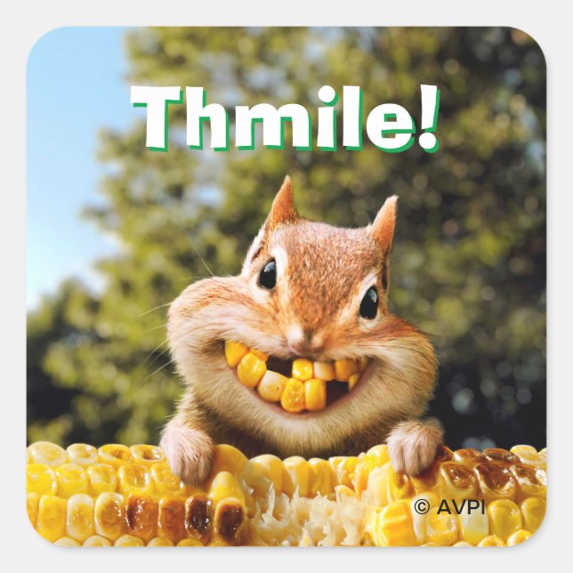 Chipmunk Eating Corn Square Sticker (Front)