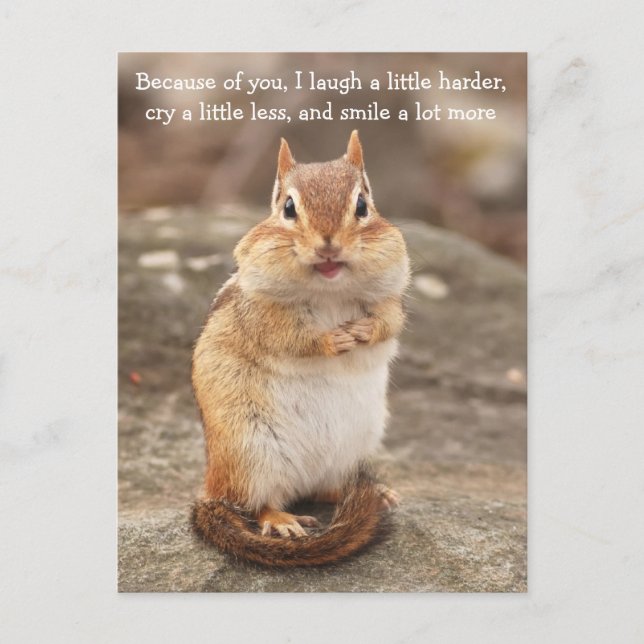 Chipmunk Friendship Quote Postcard (Front)