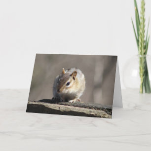 Chipmunk Greeting Card