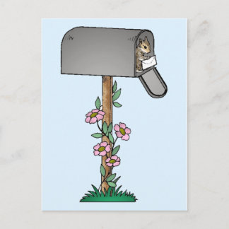 Chipmunk in a Mailbox Postcard