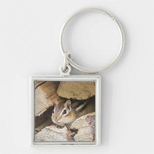 Chipmunk in a wood pile key ring