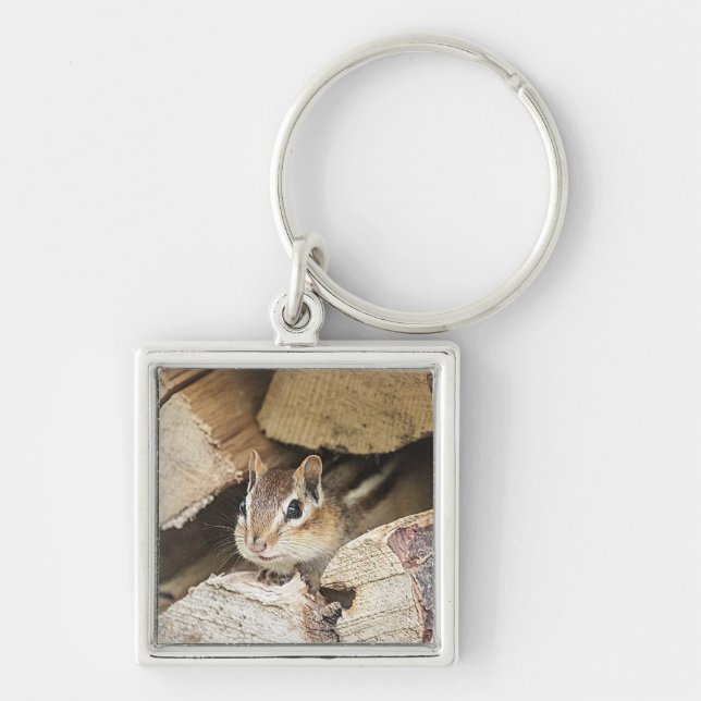 Chipmunk in a wood pile key ring (Front)