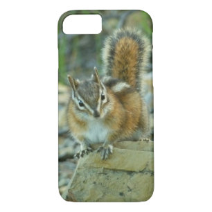 Chipmunk in Glacier National Park iPhone 8/7 Case