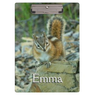 Chipmunk in Glacier National Park Clipboard