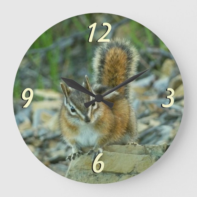 Chipmunk in Glacier National Park Large Clock (Front)