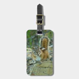 Chipmunk in Glacier National Park Luggage Tag