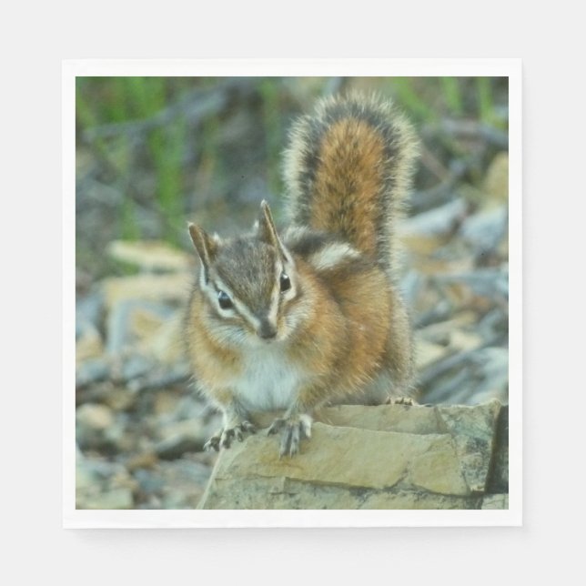 Chipmunk in Glacier National Park Napkin (Front)