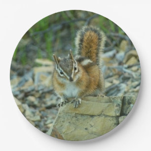 Chipmunk in Glacier National Park Paper Plate
