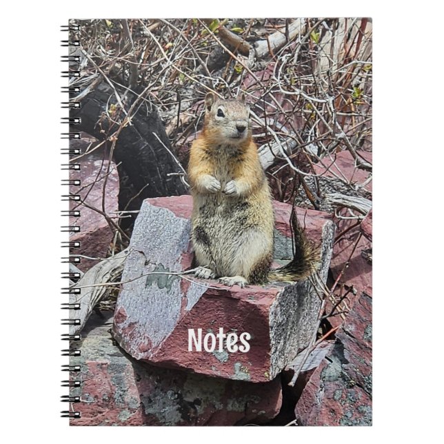 Chipmunk in Glacier National Park Photograph Notebook (Front)
