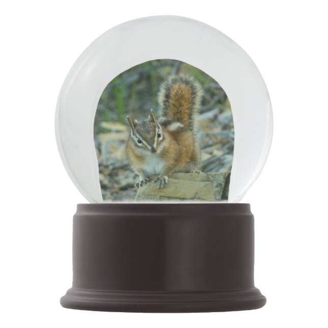 Chipmunk in Glacier National Park Snow Globe (Front)