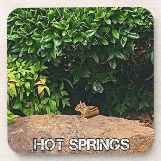 Chipmunk in Hot Springs Coaster