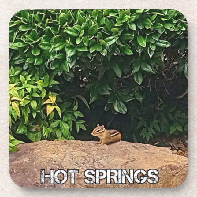 Chipmunk in Hot Springs Coaster (Front)
