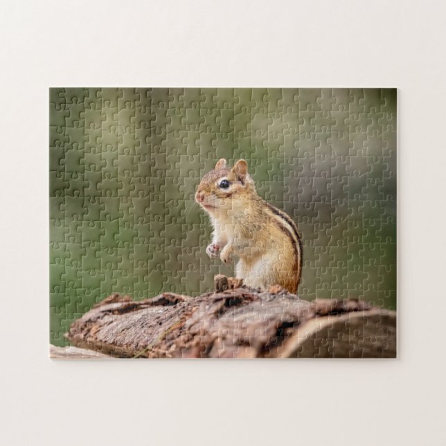 Chipmunk in the Adirondacks Jigsaw Puzzle (Horizontal)