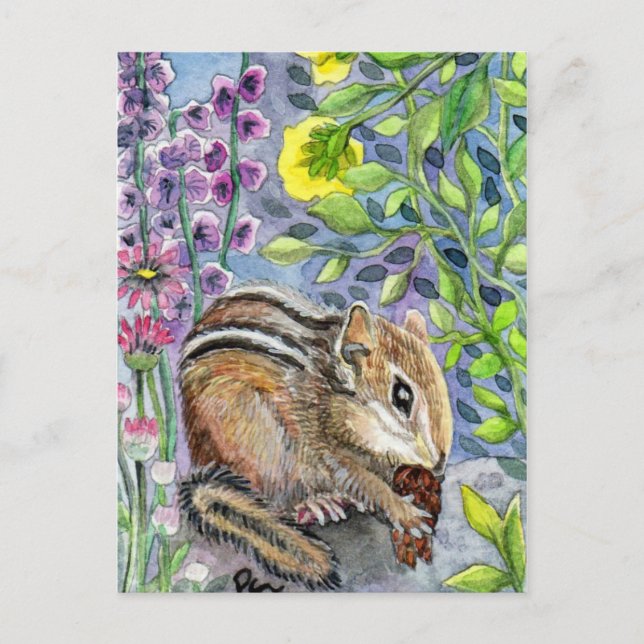 Chipmunk in the Garden Postcard (Front)