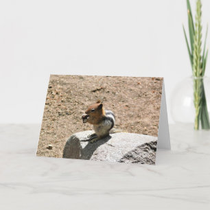 Chipmunk in Yosemite, California Card