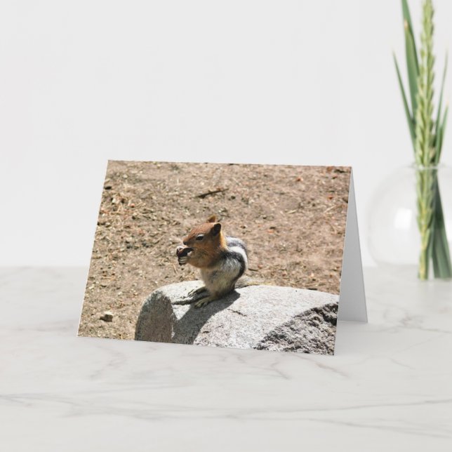 Chipmunk in Yosemite, California Card (Front)