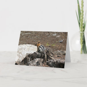 Chipmunk in Yosemite, California Card