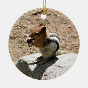Chipmunk in Yosemite, California Ceramic Tree Decoration
