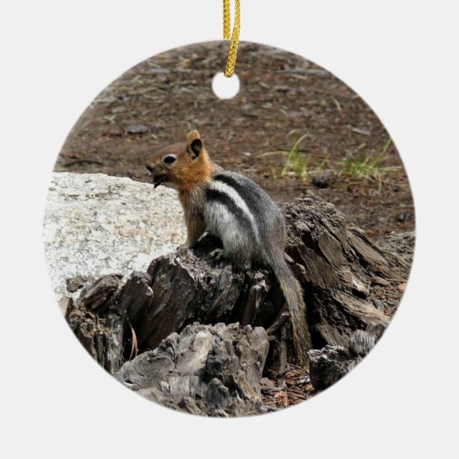 Chipmunk in Yosemite, California Ceramic Tree Decoration (Front)