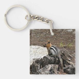 Chipmunk in Yosemite, California Key Ring