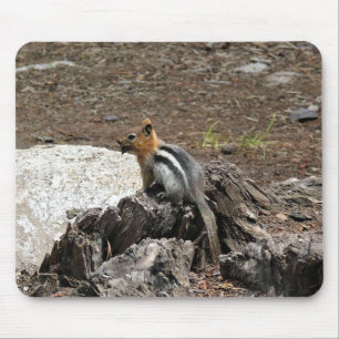 Chipmunk in Yosemite, California Mouse Mat