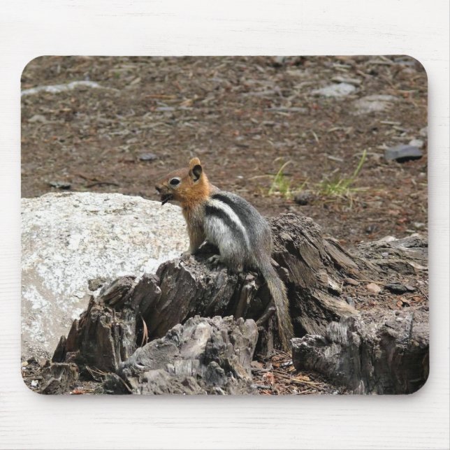 Chipmunk in Yosemite, California Mouse Mat (Front)