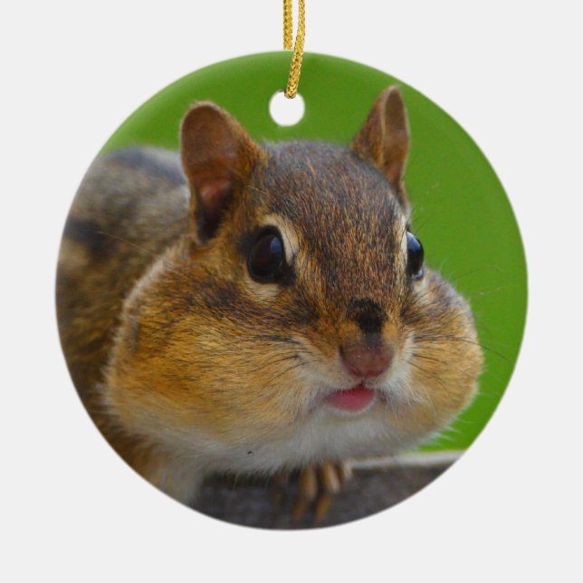 chipmunk is full ceramic tree decoration (Front)