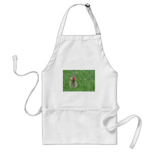 Chipmunk.JPG Standard Apron