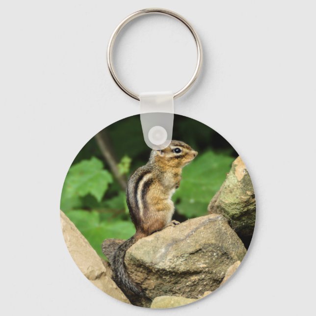 Chipmunk Keychain (Front)