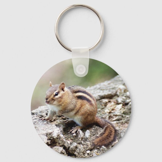 Chipmunk Keychain (Front)
