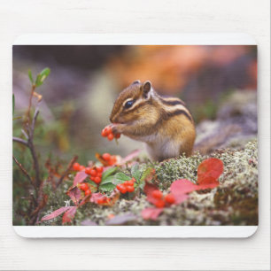 Chipmunk Life Style trending product Mouse Mat