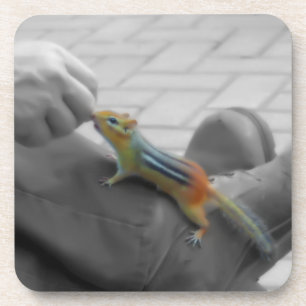 Chipmunk Lunch Coaster