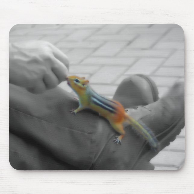 Chipmunk Lunch Mouse Mat (Front)