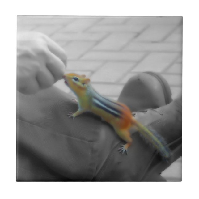 Chipmunk Lunch Tile (Front)