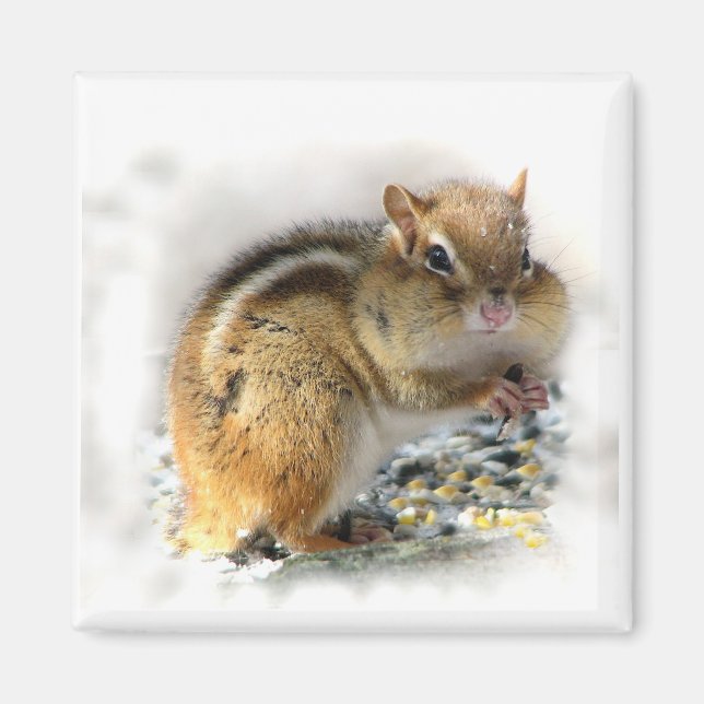 Chipmunk Magnet (Front)