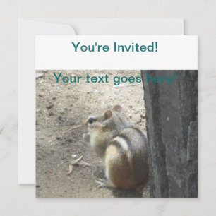 Chipmunk Midland Ontario Invitation
