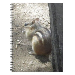Chipmunk Midland Ontario Notebook