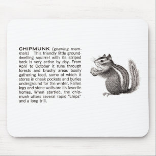 chipmunk mouse mat