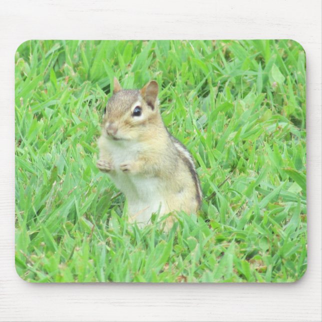 Chipmunk Mouse Pad (Front)
