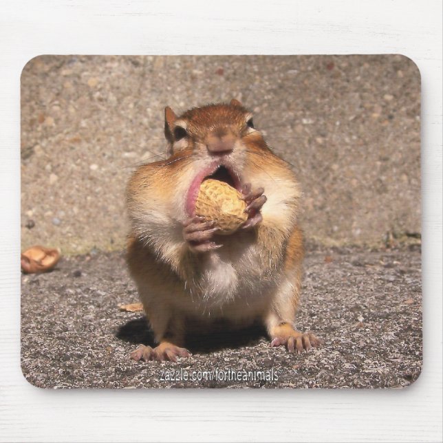 Chipmunk - Mousepad (Front)