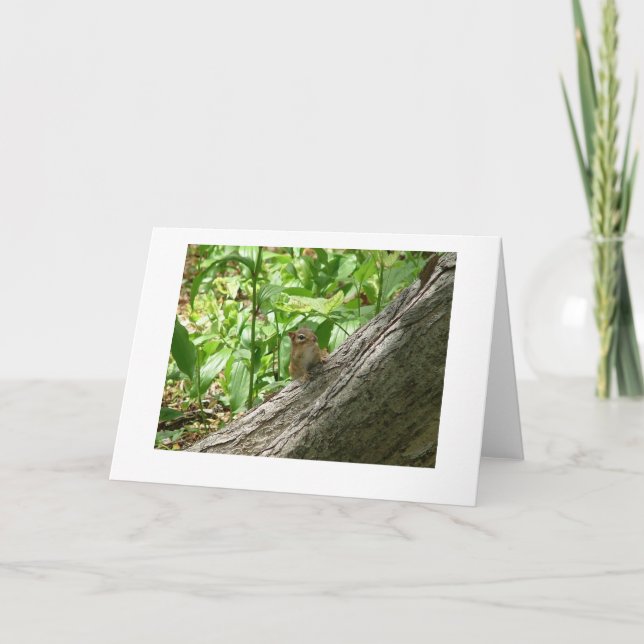 chipmunk, New York Botanical Gardens Card (Front)