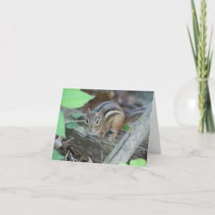 Chipmunk note card