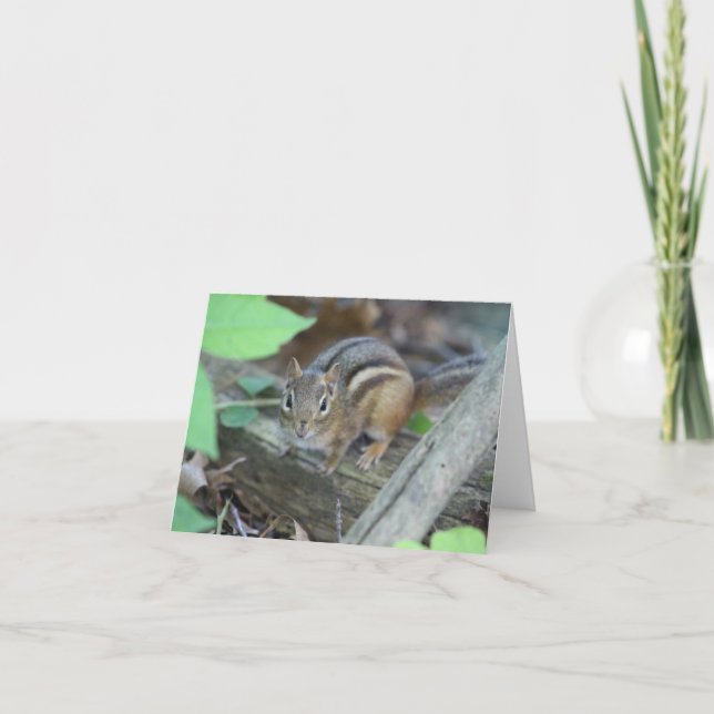 Chipmunk note card (Front)