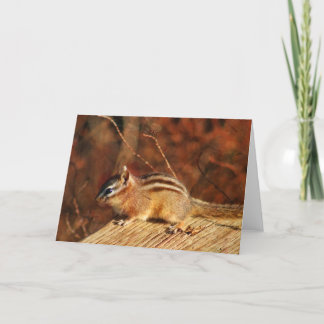 Chipmunk Occasional card