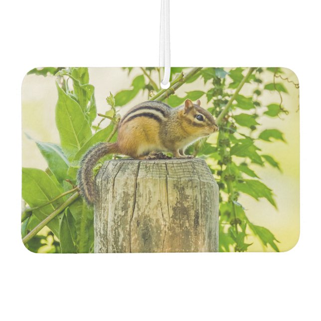 Chipmunk on a Fence Post Car Air Freshener (Front)